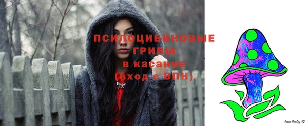 бошки Армянск