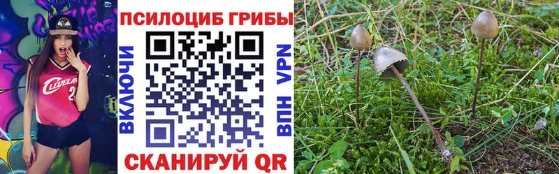 Псилоцибиновые грибы GOLDEN TEACHER  Сланцы 